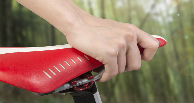 The Village Bike